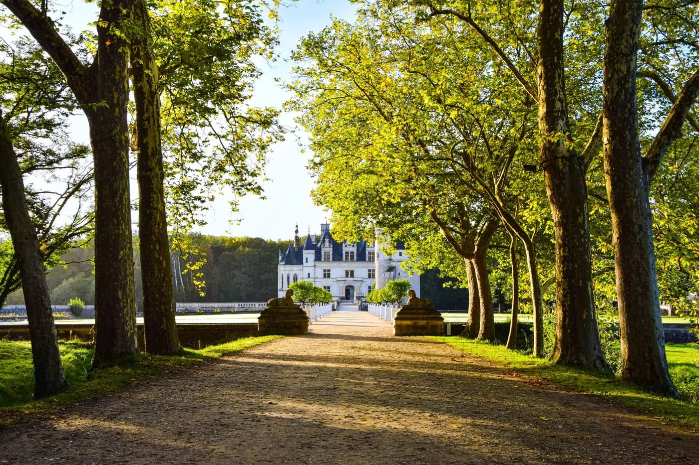 زيارة قصر Chenonceau وتذوق نبيذ اللوار