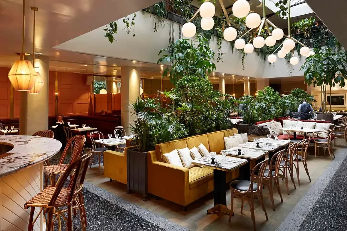 Interior garden terrace with hanging plants, rue Mazarine, Paris 6e
