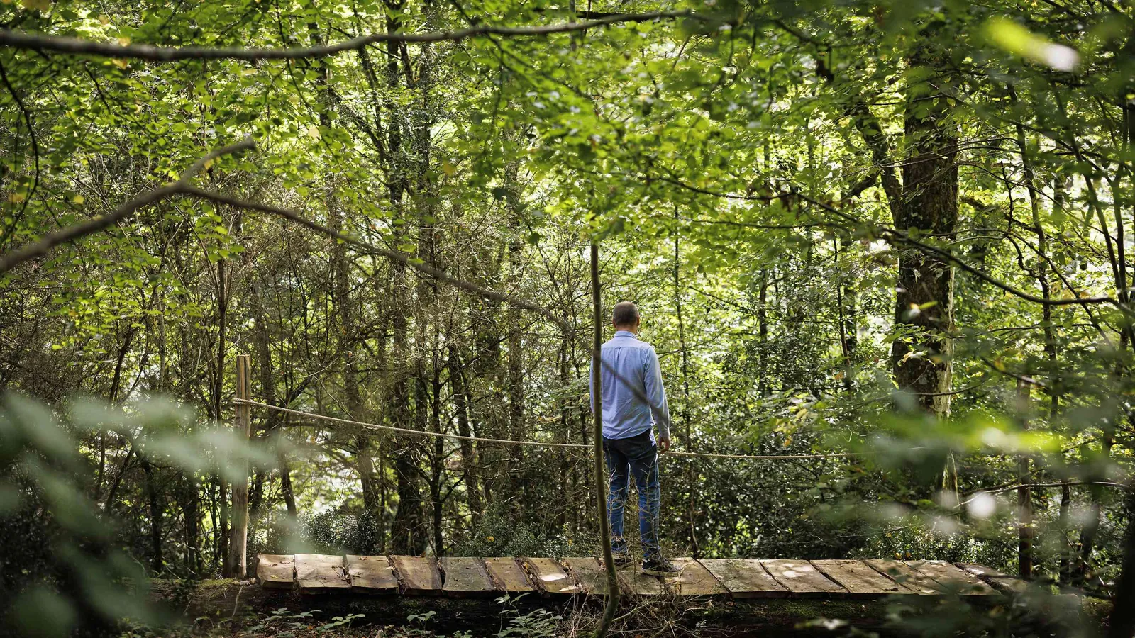Sentier boisé avec une petite passerelle en bois au-dessus d'un ruisseau au Château des Sentes Vives