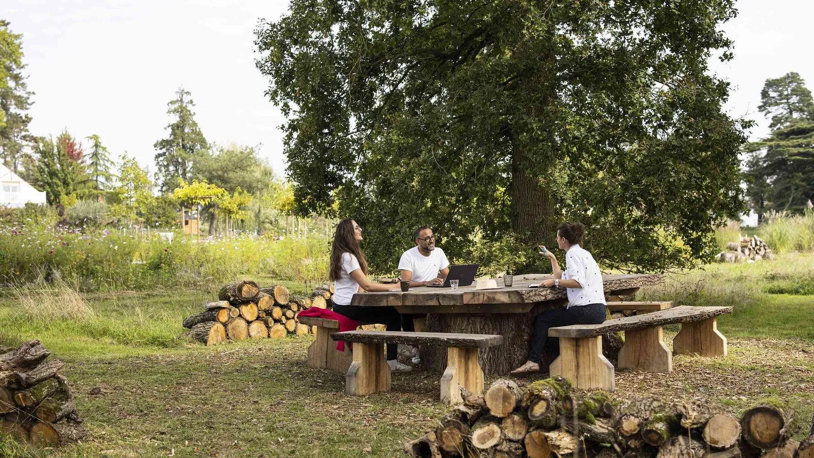 Grande table ronde en bois sous un chêne au cœur du parc du Château des Sentes Vives, Yvelines