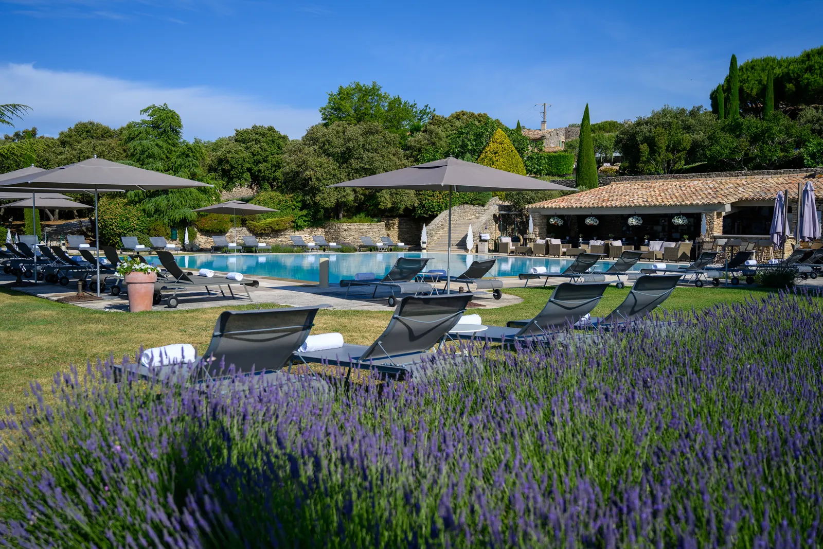 Outdoor pool beside lavender beds and parasol-shaded loungers at Les Bories & Spa, Gordes