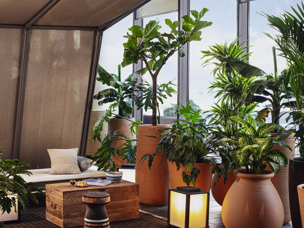 Lounge corner with potted plants, wooden trunk table and lanterns at Novotel Paris Porte de Versailles