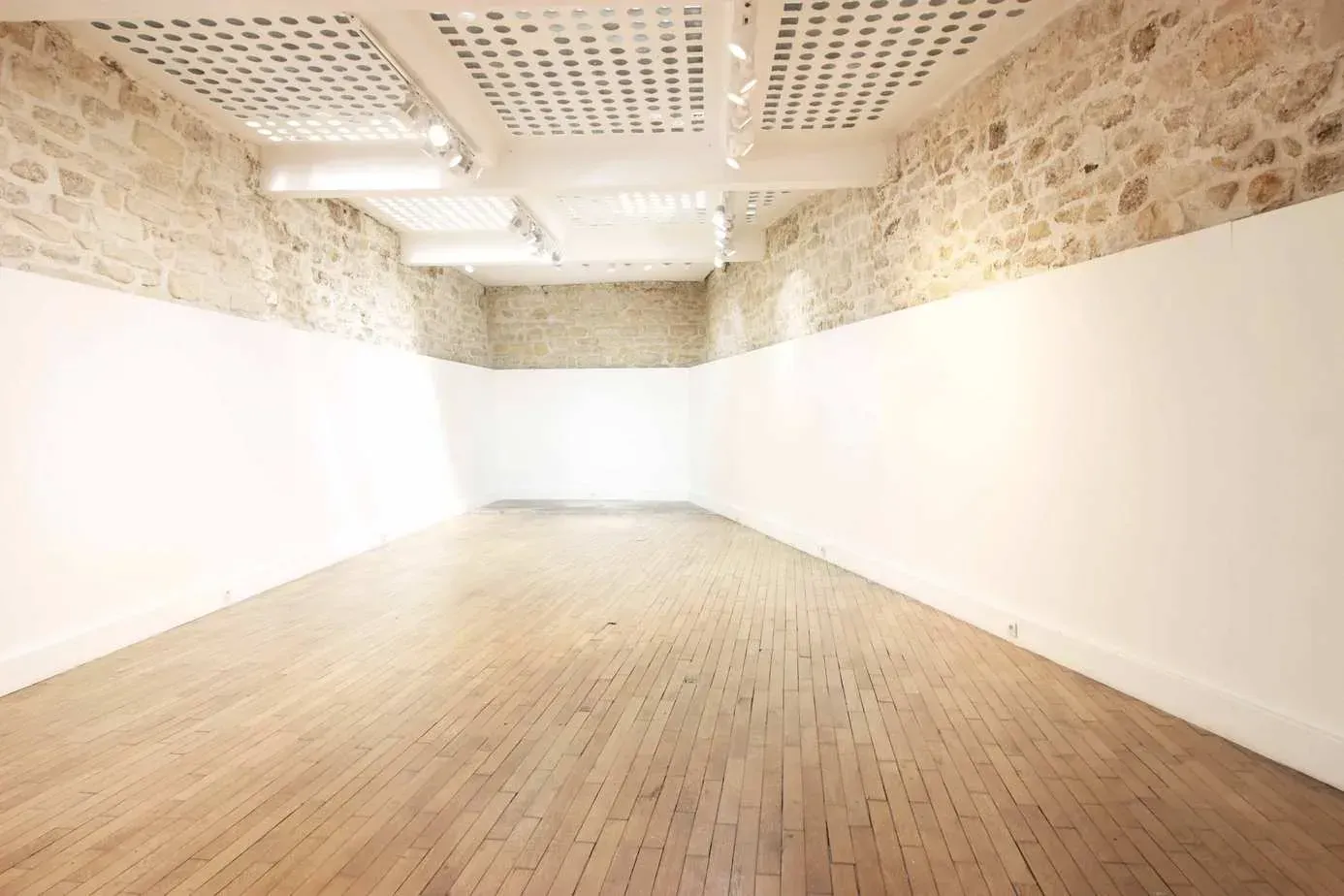 Salle avec mur de pierre et parquet