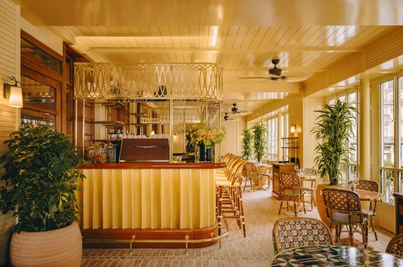 Bar room with yellow walls, plants and wicker chairs