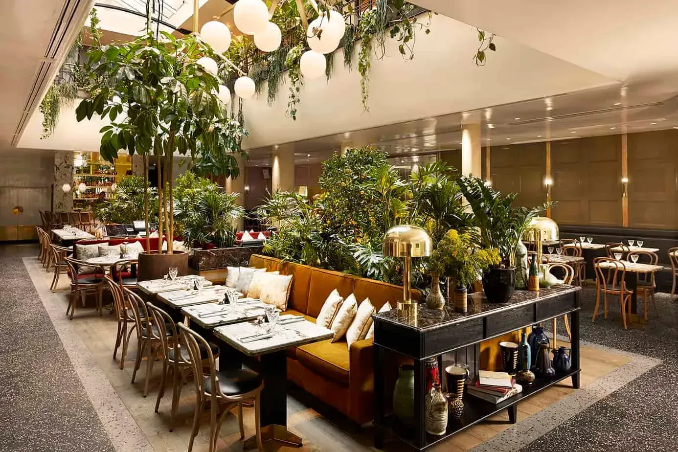 Jardin intérieur végétalisé, rue Mazarine, Paris 6e: interior and atmosphere, Paris 6e