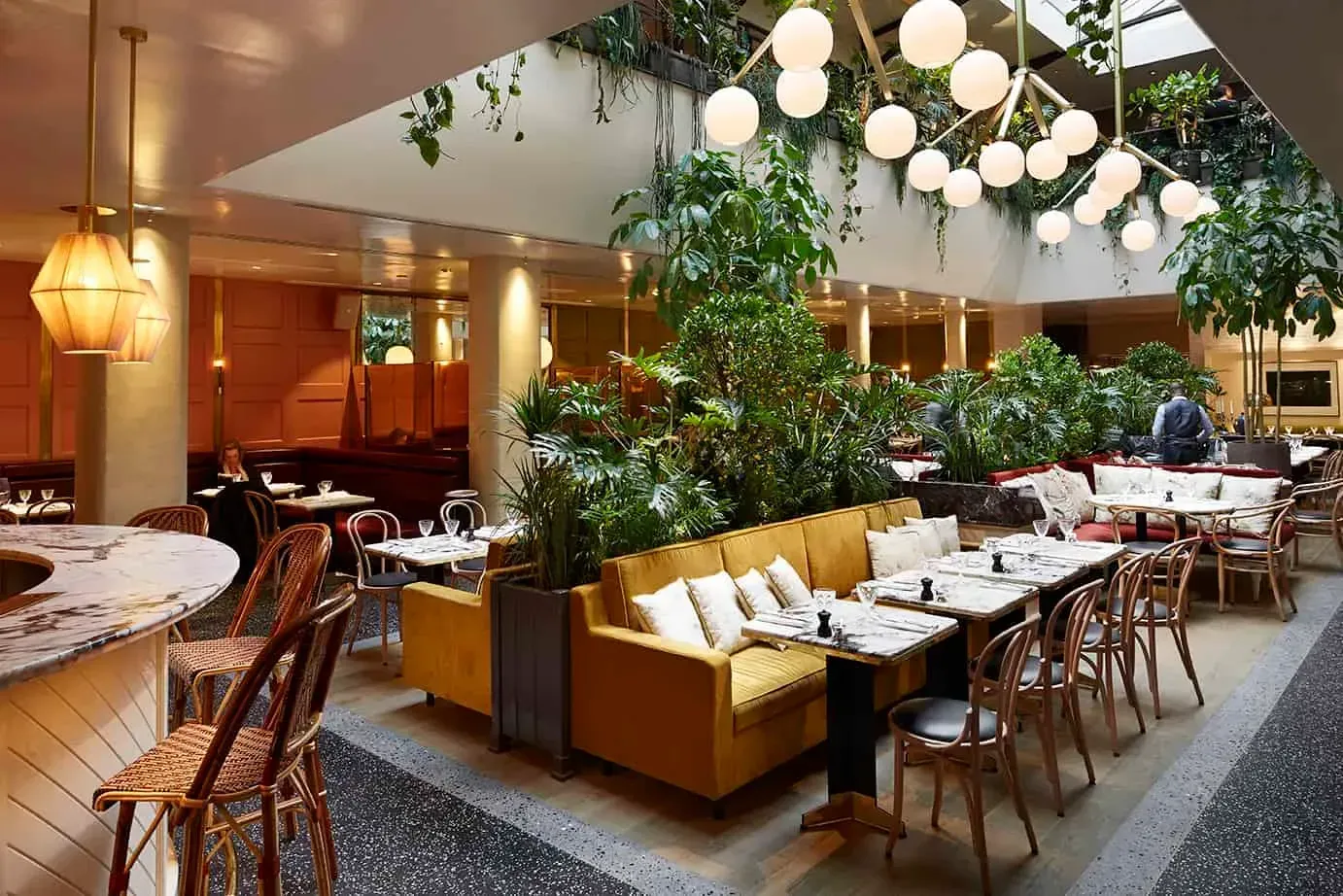 Interior garden terrace with hanging plants, rue Mazarine, Paris 6e